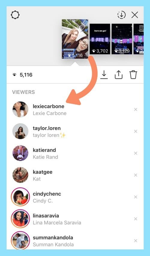 instagram story viewers